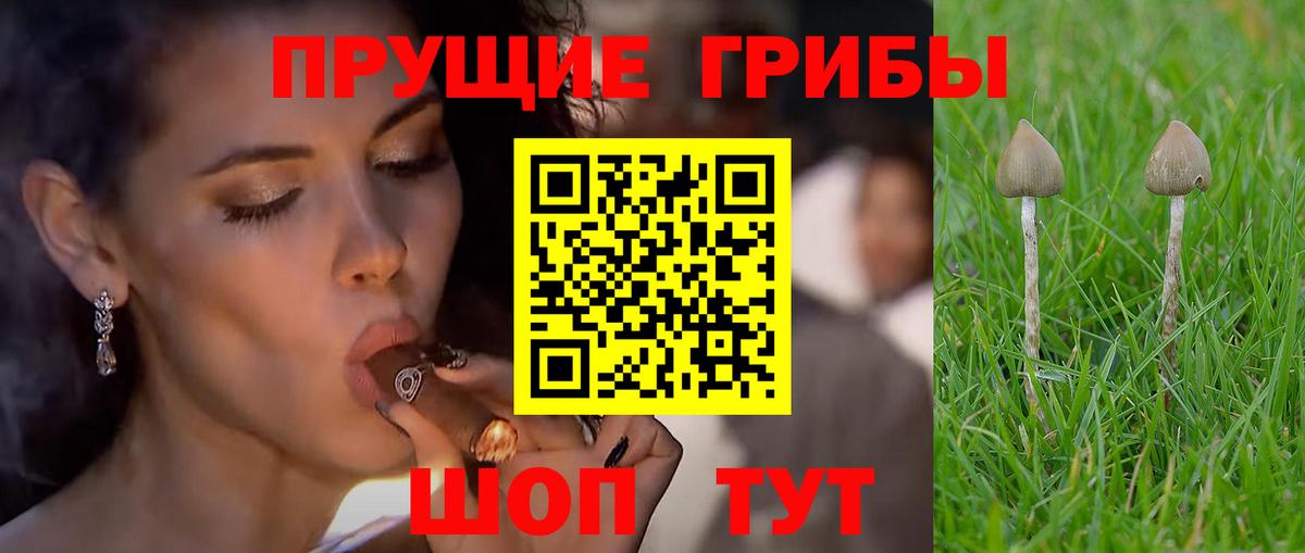 Псилоцибиновые грибы Cubensis  Вход с VPN  Похвистнево 